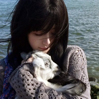 荣誉至上